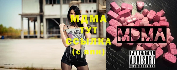 мдпв Краснослободск