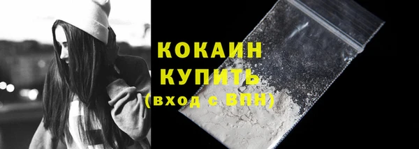 амф Тайга