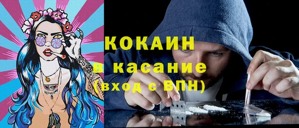 мдпв Краснослободск