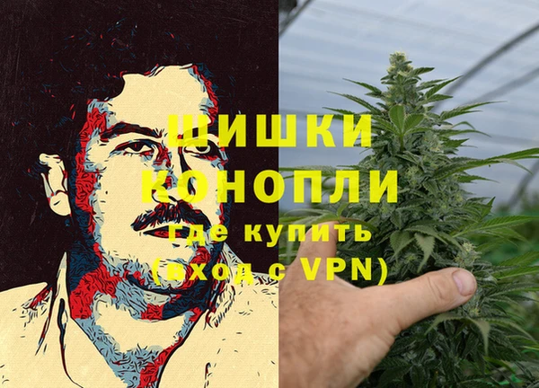 мдпв Краснослободск