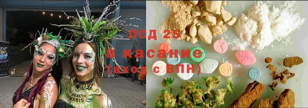 мдпв Краснослободск