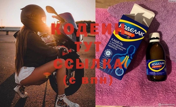 мдпв Краснослободск