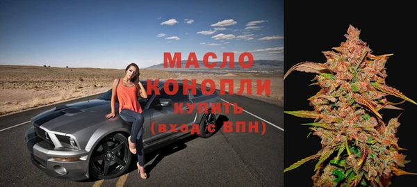 мдпв Краснослободск