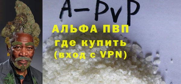 мдпв Краснослободск