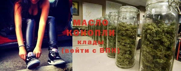 мдпв Краснослободск
