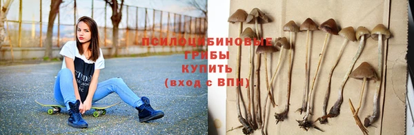 мдпв Краснослободск