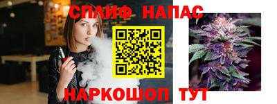 сатива Кингисепп