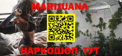 сатива Кингисепп