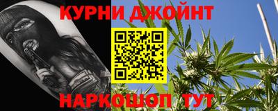 сатива Кингисепп