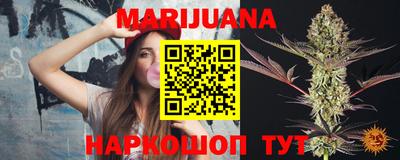 сатива Кингисепп