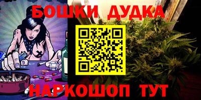 сатива Кингисепп