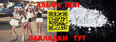 сатива Кингисепп