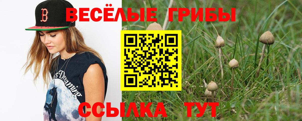 Чапаевск  Псилоцибиновые грибы мухоморы  Вход с VPN  Галлюциногенные грибы MAGIC MUSHROOMS 